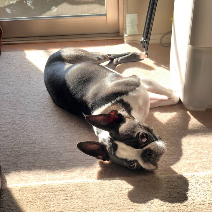 B2786dfd aa49 45af 88d4 0c8965810c15 1613867056123