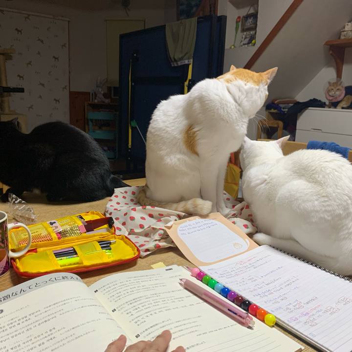 B2787a83 3b52 4411 b24f 9a74fea6de63 1621865467616