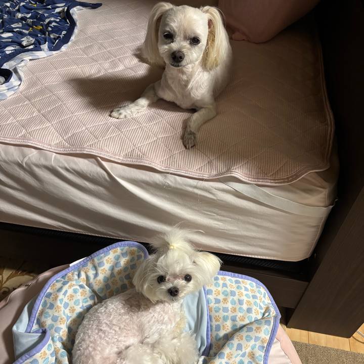 B2788d37 99a7 4b9c 98e6 ec5c3d3f5b8d 1753097181808