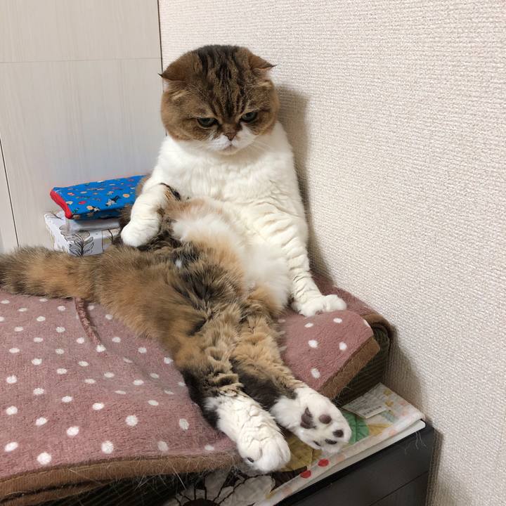 B278b5cb 07cd 4a50 ae58 9af4592f5331 1557058602802