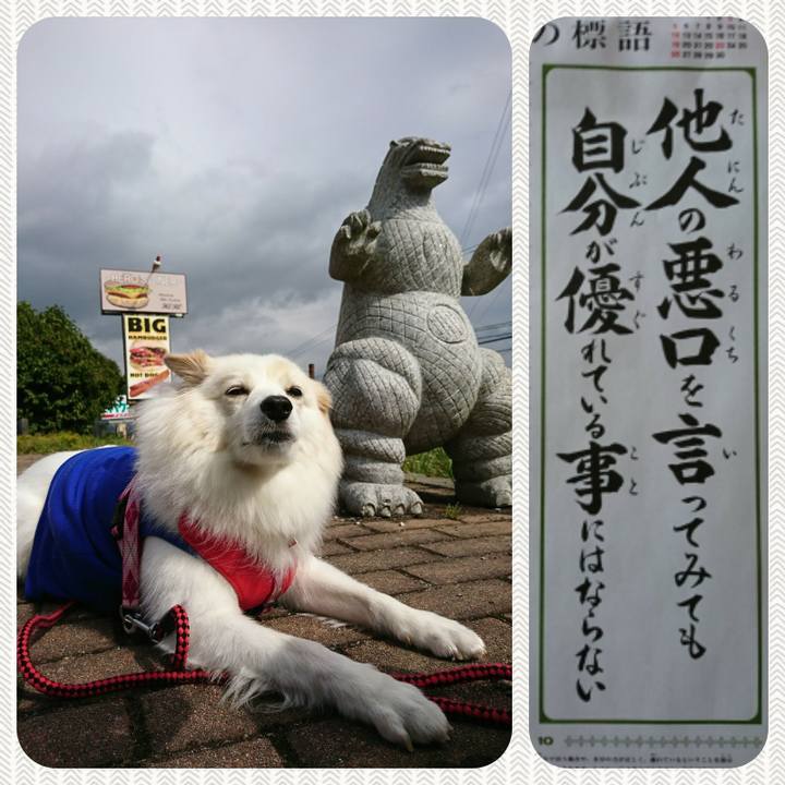 B278c02e 5da1 47a6 a975 4146f6d65486 1507885164826