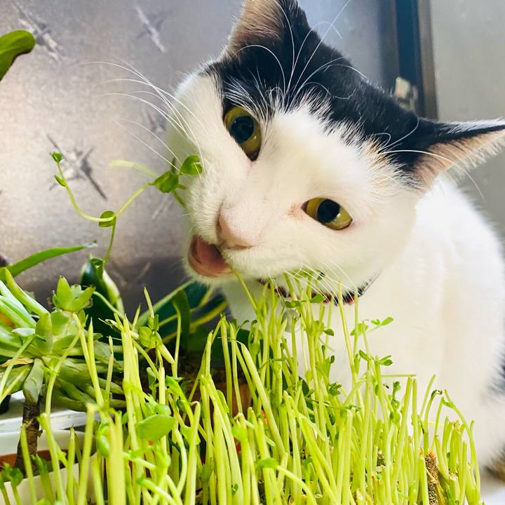 B278ca4e f407 488c a873 59cff7047245 1677622129416