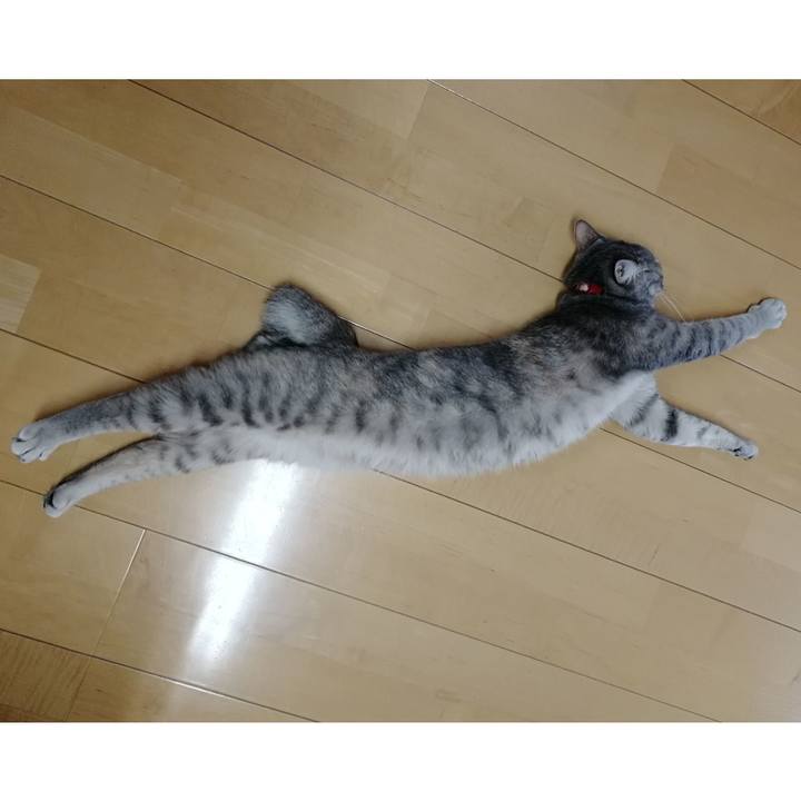 B278dc3c ff93 4154 83aa 6aa5b36c2de4 1521464063138