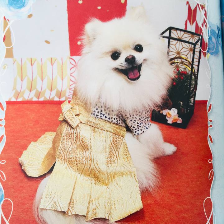 B27922a1 a792 4a29 9d68 ccc0ca49f8ea 1546296170031