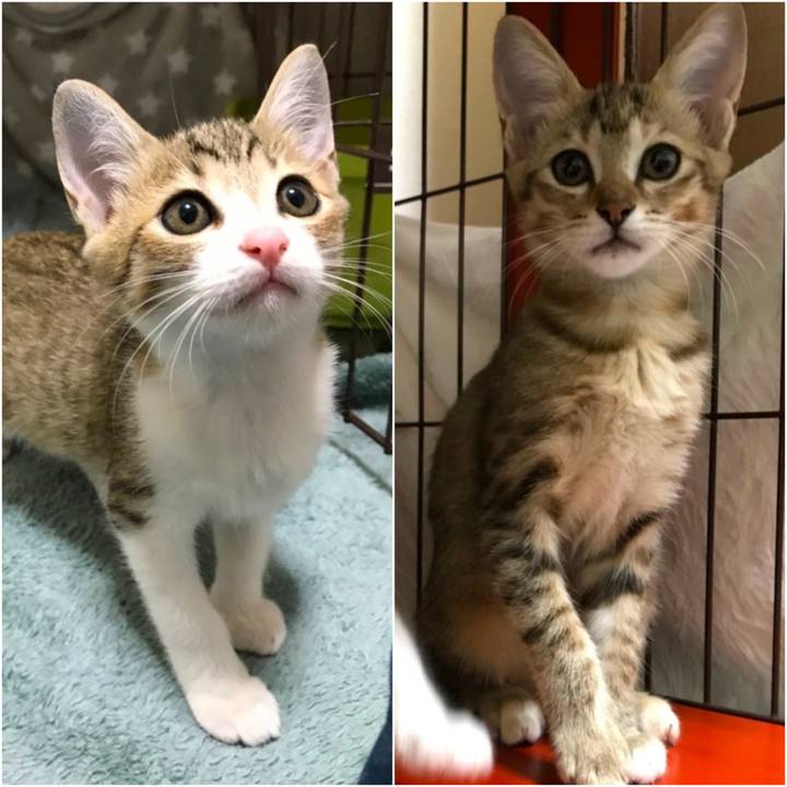 B2792adf d1e3 4cae 814a 9cb3a54c51be 1755580281016