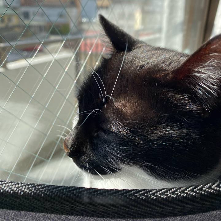 B2796d26 aca9 40d3 bb77 19f92fe18e0f 1612614991171