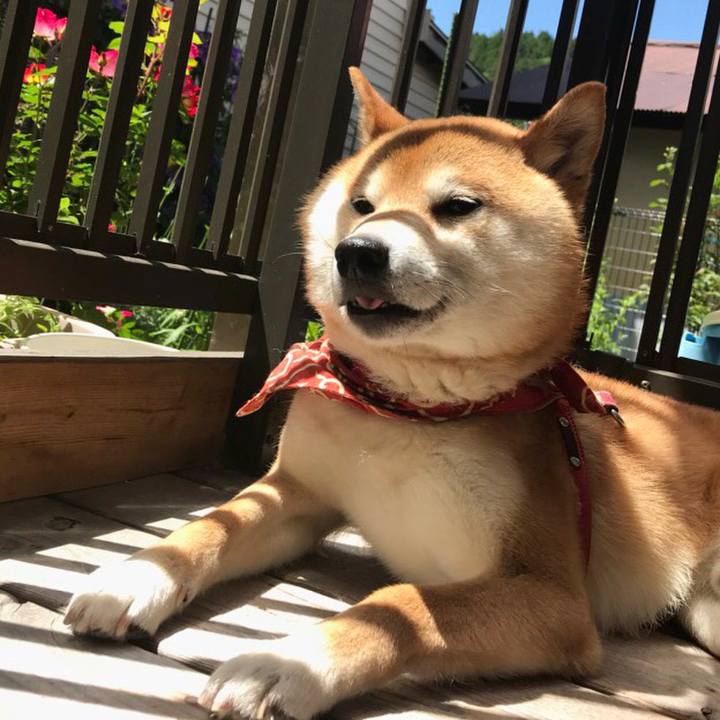 B279bab8 ad79 4c67 bb27 44a9bb7b2f93 1526785439838