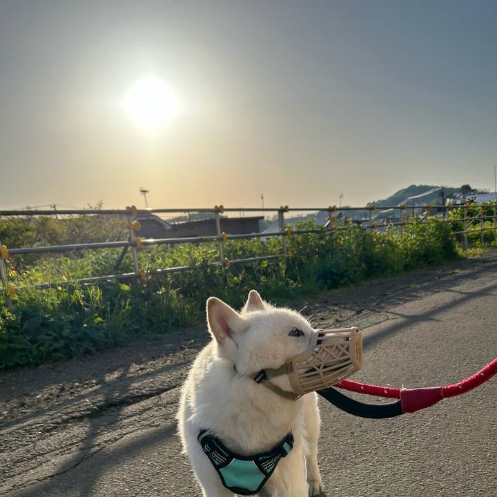 B279fd47 0dc8 4b4f a00a 05432b17b1a7 1685049437262