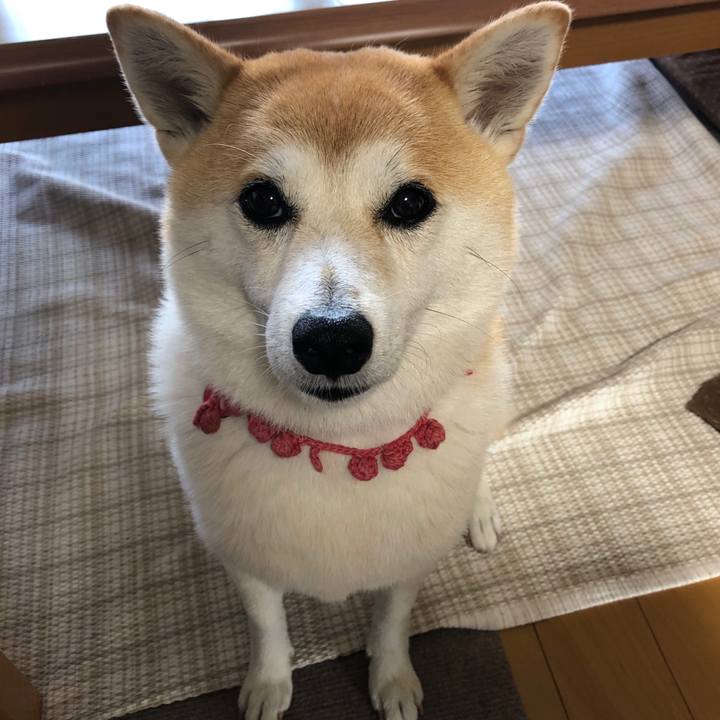 B27a0073 3951 4d35 8499 03f2542d0bb8 1564352764455