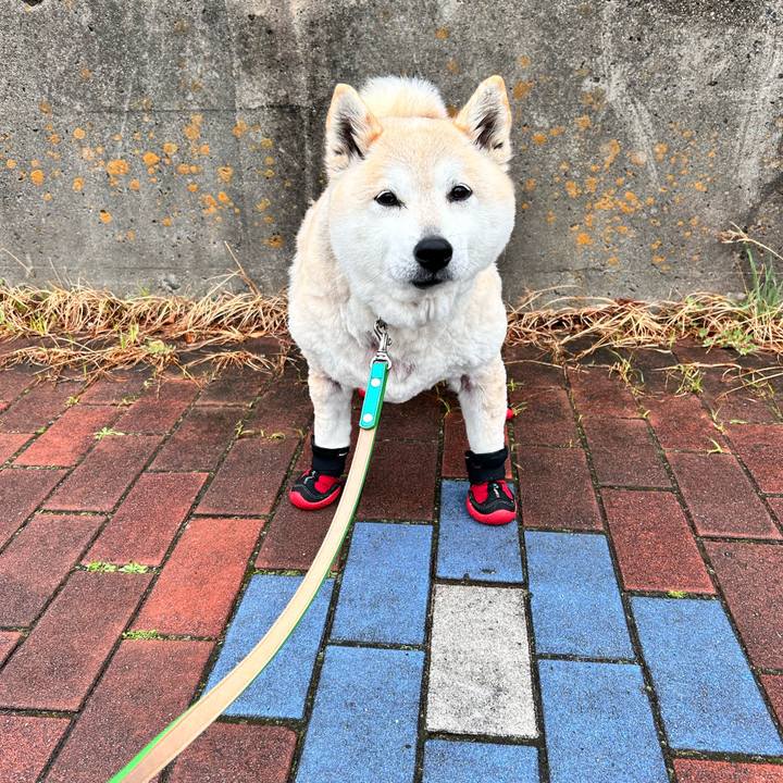 B27a6975 0926 40b2 8da3 6d3809f3e3cf 1743224323447