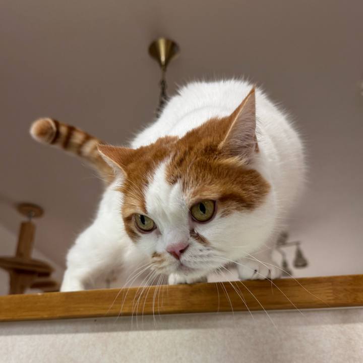 B27a7668 c47f 451a b142 f7ccdffff7f5 1773023066111