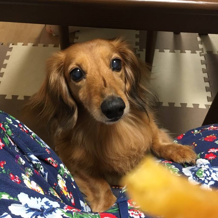 B27a971f 2162 41b1 874b e815cfc93ee4 1558445869847