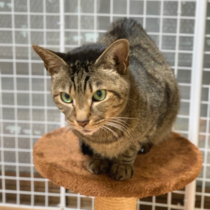 B27aabbb 92f7 48c3 a689 741d2b8fe88b 1586740914786