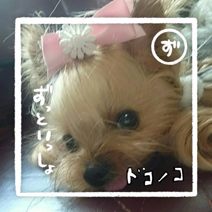 B27ac685 0704 4032 9ce1 d746591adf51 1685976106665