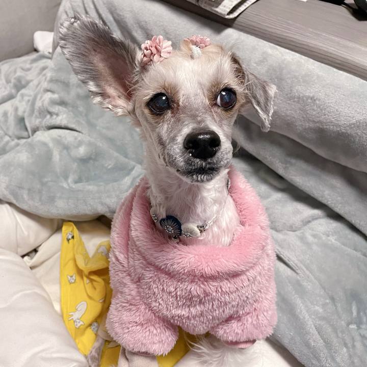 B27ad63f 0f6b 4c49 b3c3 25e164aafc2f 1770196548774