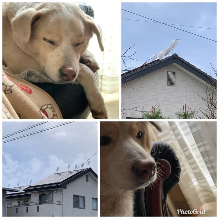 B27ae151 44ba 4826 ad69 cbe4ef0f228d 1577605716334