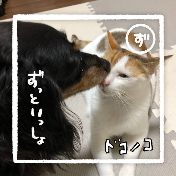 B27afa05 aa55 442b a9ed 2dca93f3a190 1686012827668