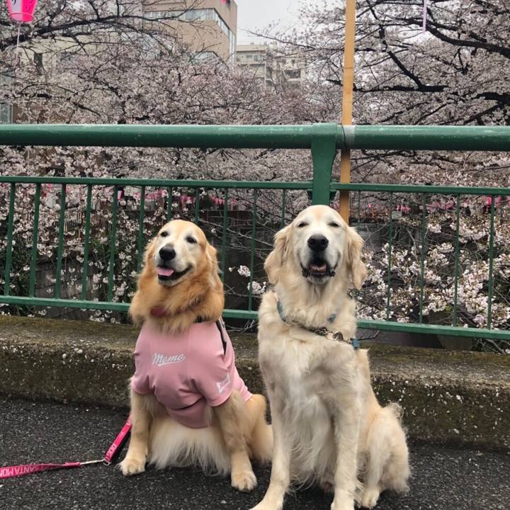 B27afc4a 8064 4dc7 baf0 057a64f5dad9 1555918082391