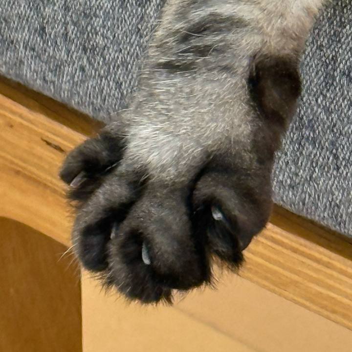 B27b0646 2869 447d 88d3 06550e053d0e 1764418491955