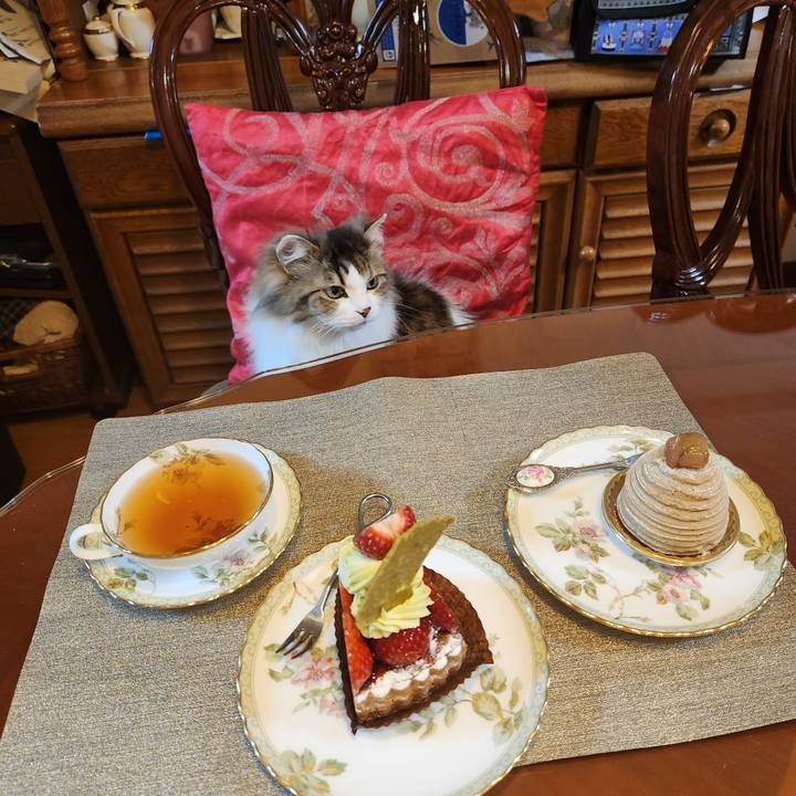 B27b0fbc 5a2e 451b 98d3 b32b05aa2c38 1743848967278