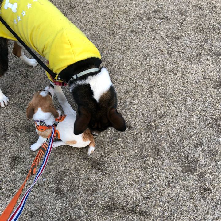 B27b1dcd cd49 4cad a402 2df96dad82c9 1550797116989