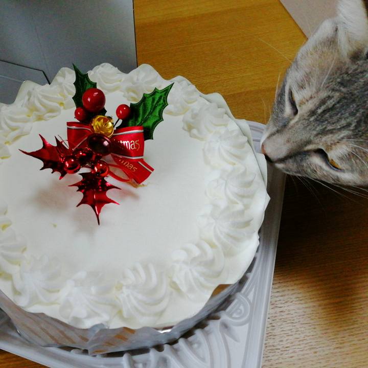 B27b248b 63ad 4085 9e5d c980c77092a3 1514081452937