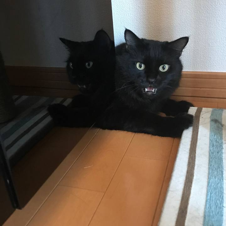 B27b2f2d 95eb 42f5 9d09 e48d869ab8b9 1507848488971