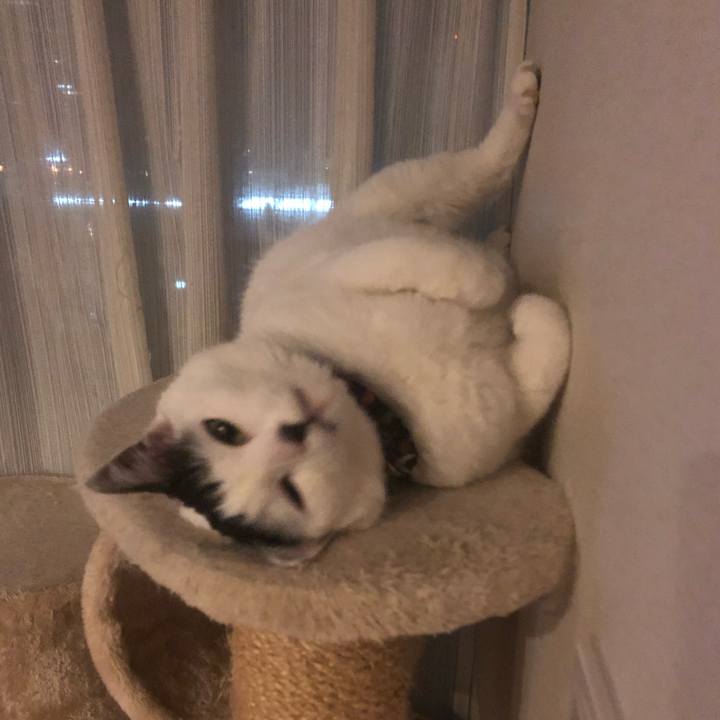 B27b5501 23dd 4430 96af d7f5d817265a 1547821121462