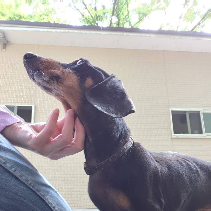 B27b5e1d 1661 4efd a6b4 4f2d80b6dc19 1562751985366