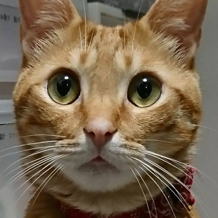 B27b7347 1e97 44bc beee 5a89fa37cf35 1515808160352