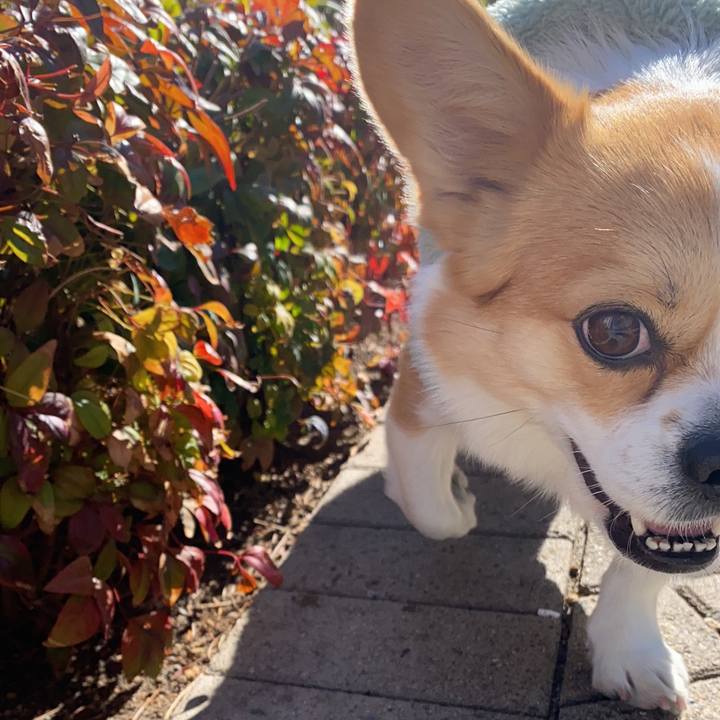 B27b7666 cdf0 423a be2e a7571cc4d04e 1643610499435