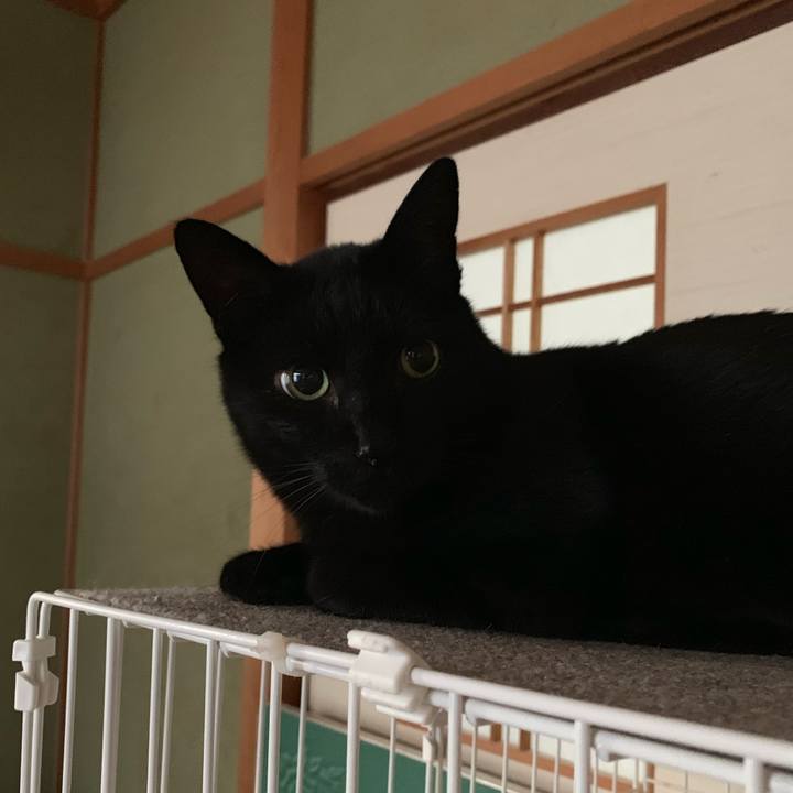 B27b8725 bc28 47f3 affa c9ce61c4135e 1546821829506