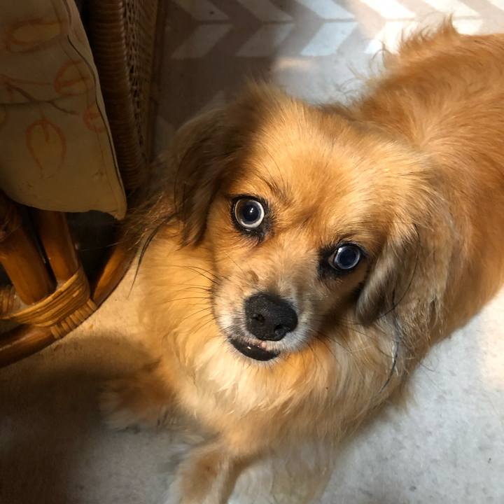 B27bafa1 f679 4c40 827b 5f10dcce8c4d 1566510790776