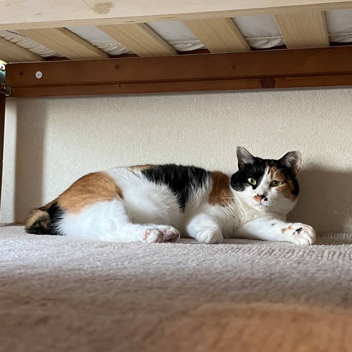 B27bd0c6 2bc9 4d73 9f3a ae183d89ae93 1749165347809