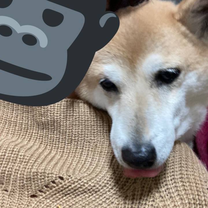 B27c11ba dde0 45fc b250 9a63845d3d5d 1612959037718