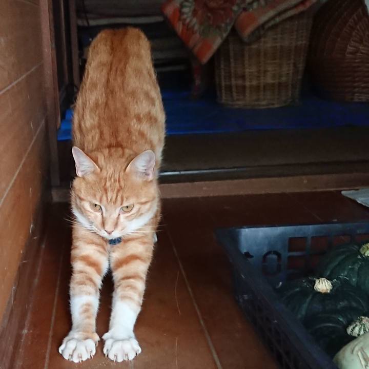 B27c3d58 cb8e 49c7 ae1f 0172200458f4 1565253824405