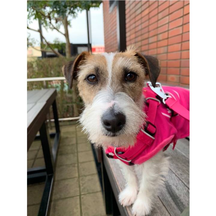 B27cb14f 613e 4724 8745 7a6b3a90243c 1582968496583