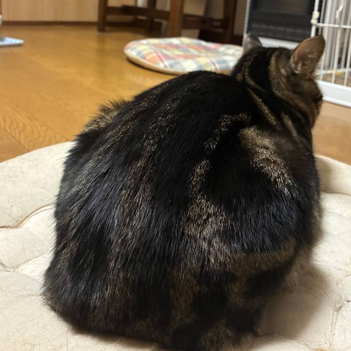 B27cc3d2 747a 4452 a5e1 8b241766513a 1760614946898