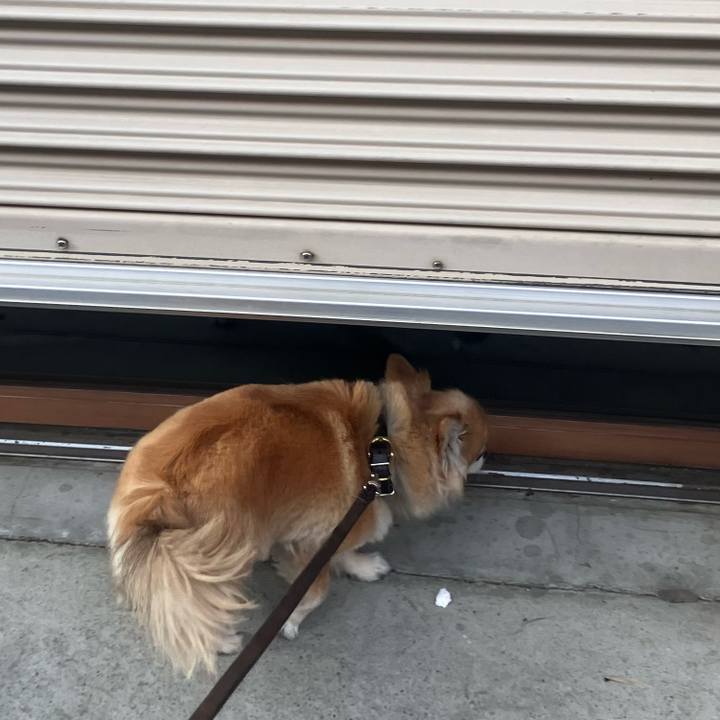 B27ccb5c 2487 41dc 9889 bb73f23825cd 1773234788111