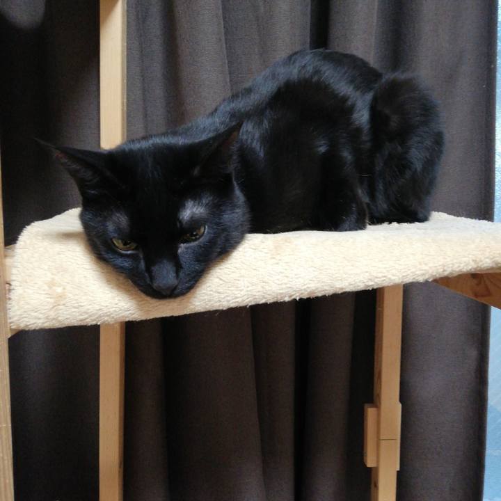 B27cd6b1 76c6 47b8 9127 8e514d777ddc 1613773566013