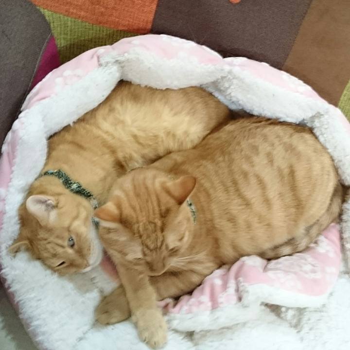 B27cdaa6 58ec 4cef 93d7 2783f2942404 1573879158337