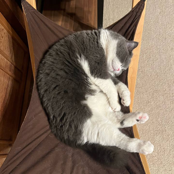 B27ce39e 1160 4fd5 b54a 1054f307a9a2 1648264341622