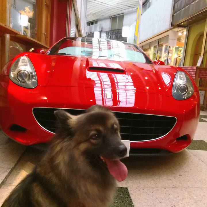 B27d0529 f7b4 4699 800c cf0ece17293e 1760853460688