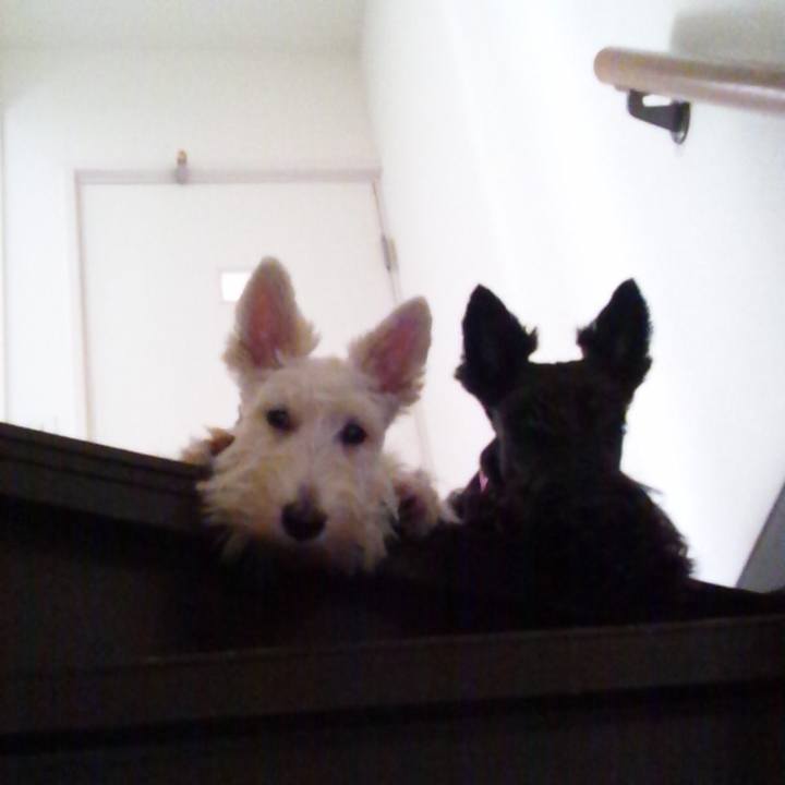 B27d5a98 ab09 4820 82c8 dd9838471b97 1515989497301