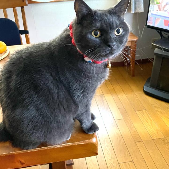 B27d6151 21d1 4f52 91be cd10fdb98140 1764288885443