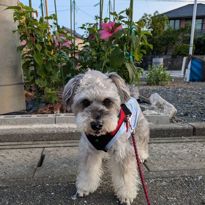 B27d79c5 6510 41fd 85c3 3ac5a7bab3a6 1757980775125