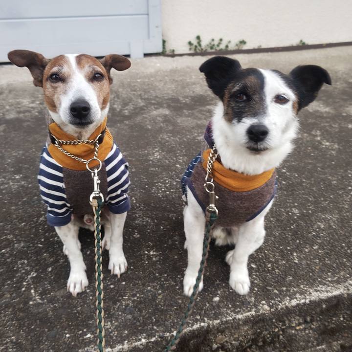 B27d9ca5 114b 40bf a8da 21a20acae4cf 1773445300024