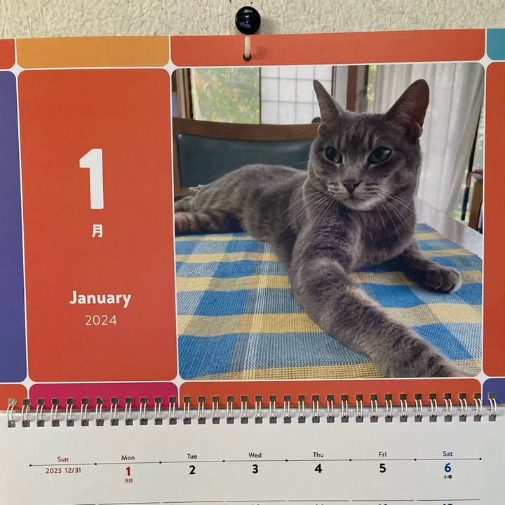 B27da30d 2c77 486b 8386 3a5b71da10fd 1704281926706