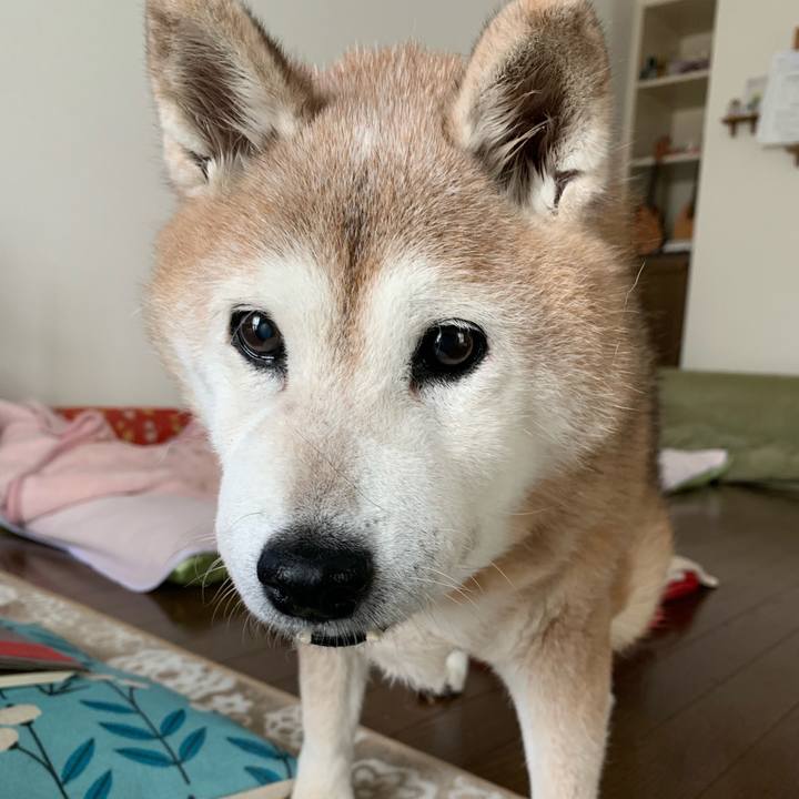 B27dd8c3 0b78 4155 baa5 1bbb8eca585f 1660536460467