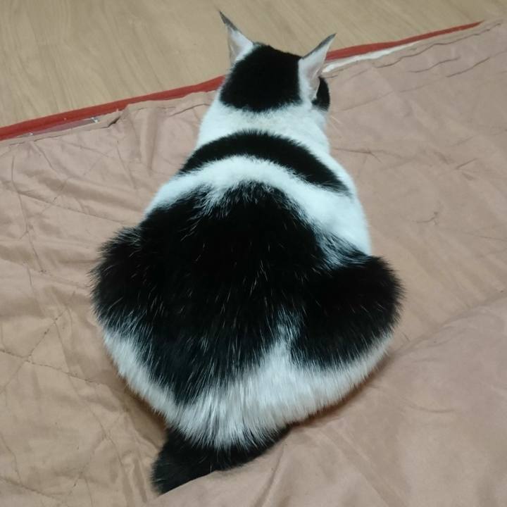 B27e0c4c 0092 449f 8157 b7df6d5d09a6 1547810578221